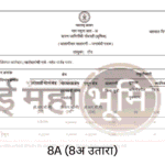 6733677aa97ebafef9f21014 8a document